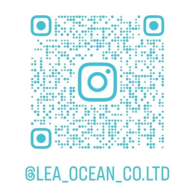 leaocean_instagram